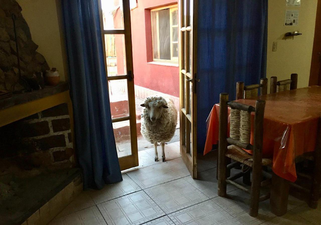 Hotel Hosteria Huaco Zewnętrze zdjęcie
